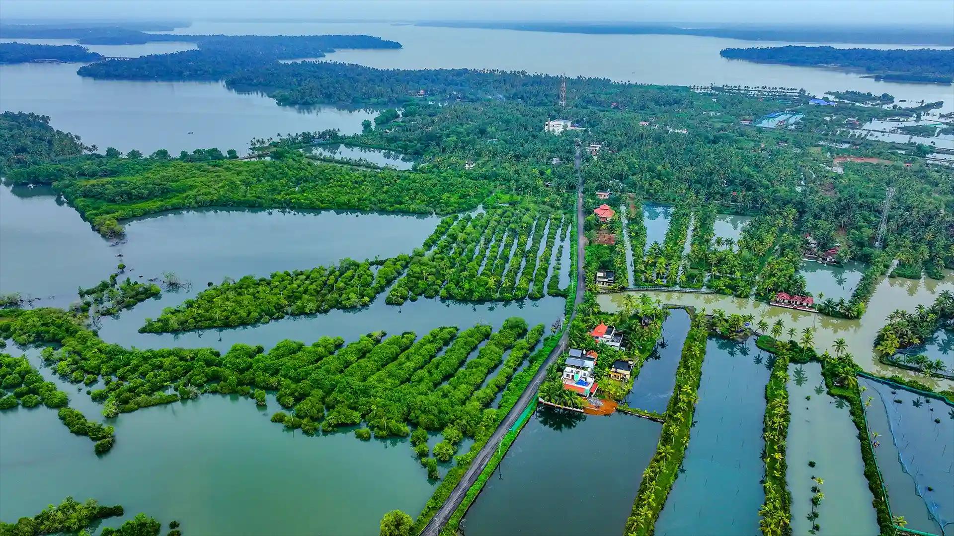 Munroe Island Munroe Island