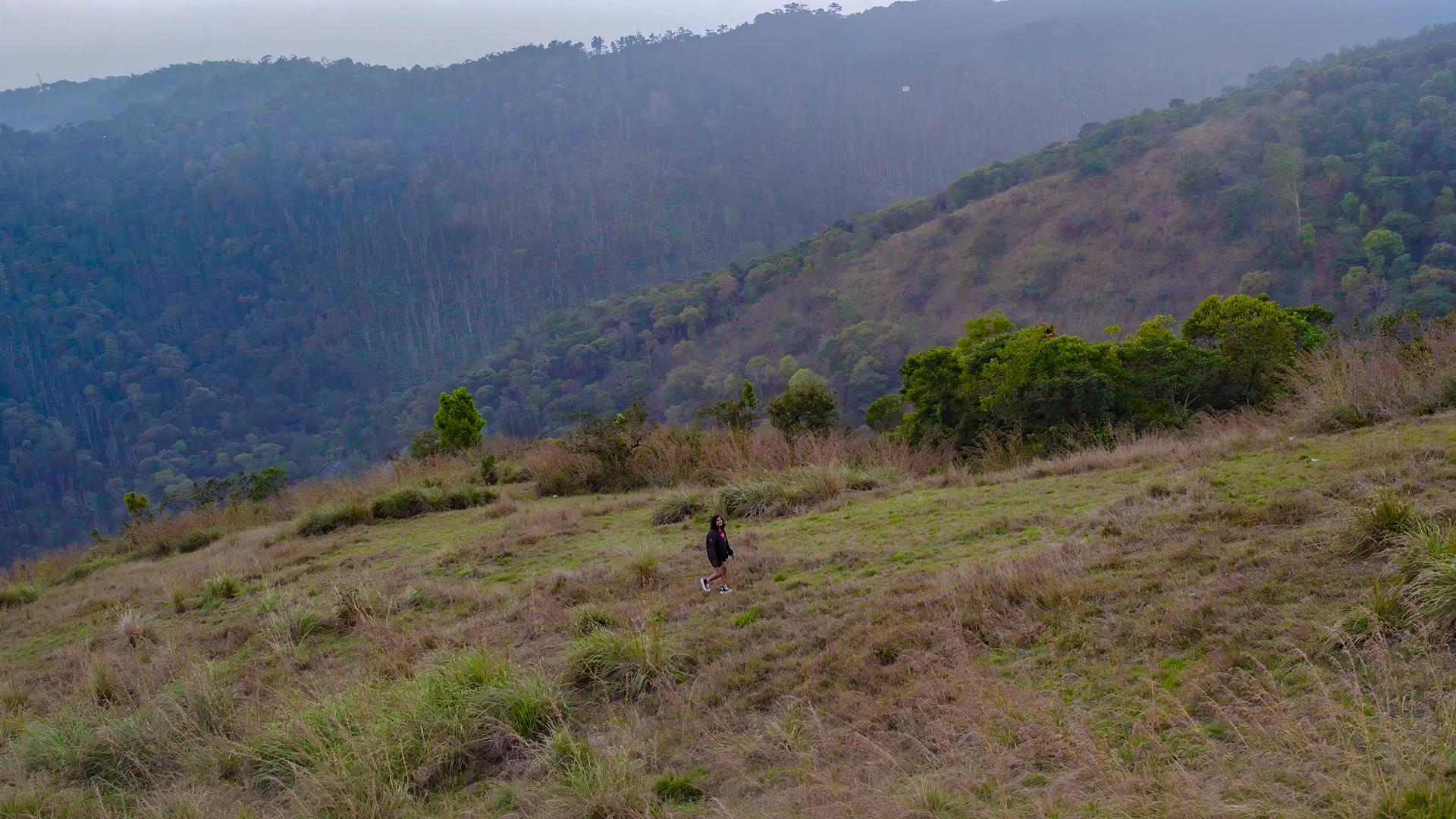 Murikkady, Idukki: Open Hill Slopes and Valley Backdrop Murikkady, Idukki: Open Hill Slopes and Valley Backdrop