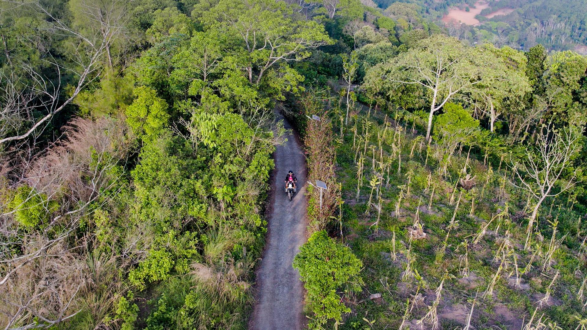 Murikkady, Idukki: Plantation Road and Forest Corridor Murikkady, Idukki: Plantation Road and Forest Corridor