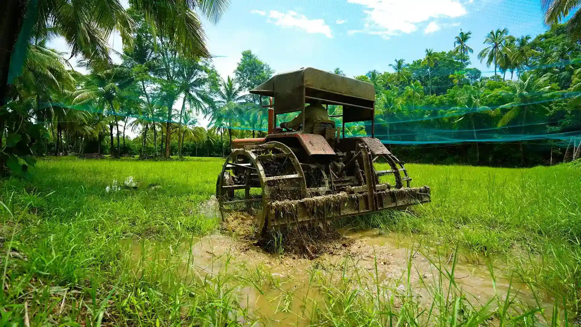 Navara Eco Farm Navara Eco Farm