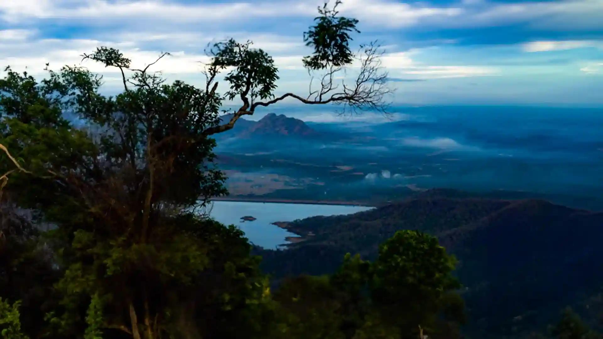 Nelliyampathy hills Nelliyampathy hills