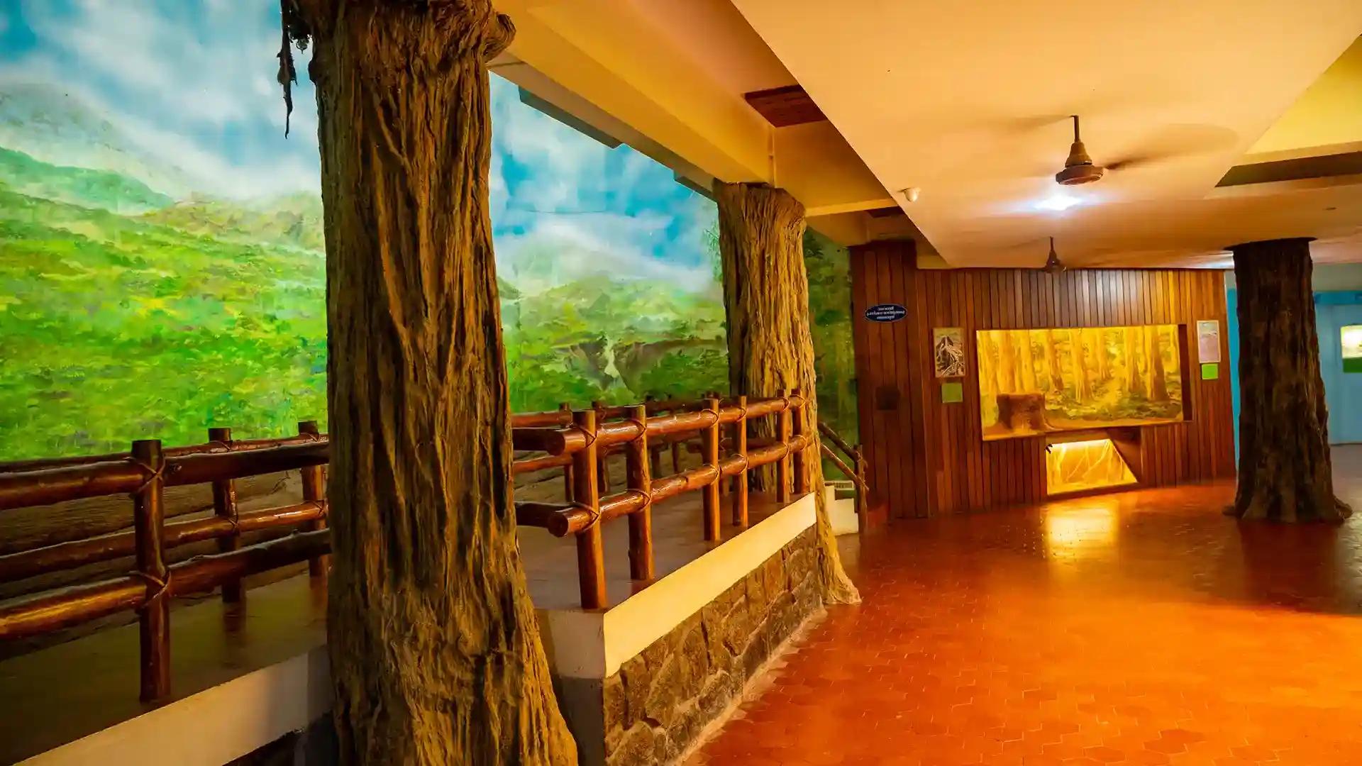 Nilambur Teak Museum Nilambur Teak Museum