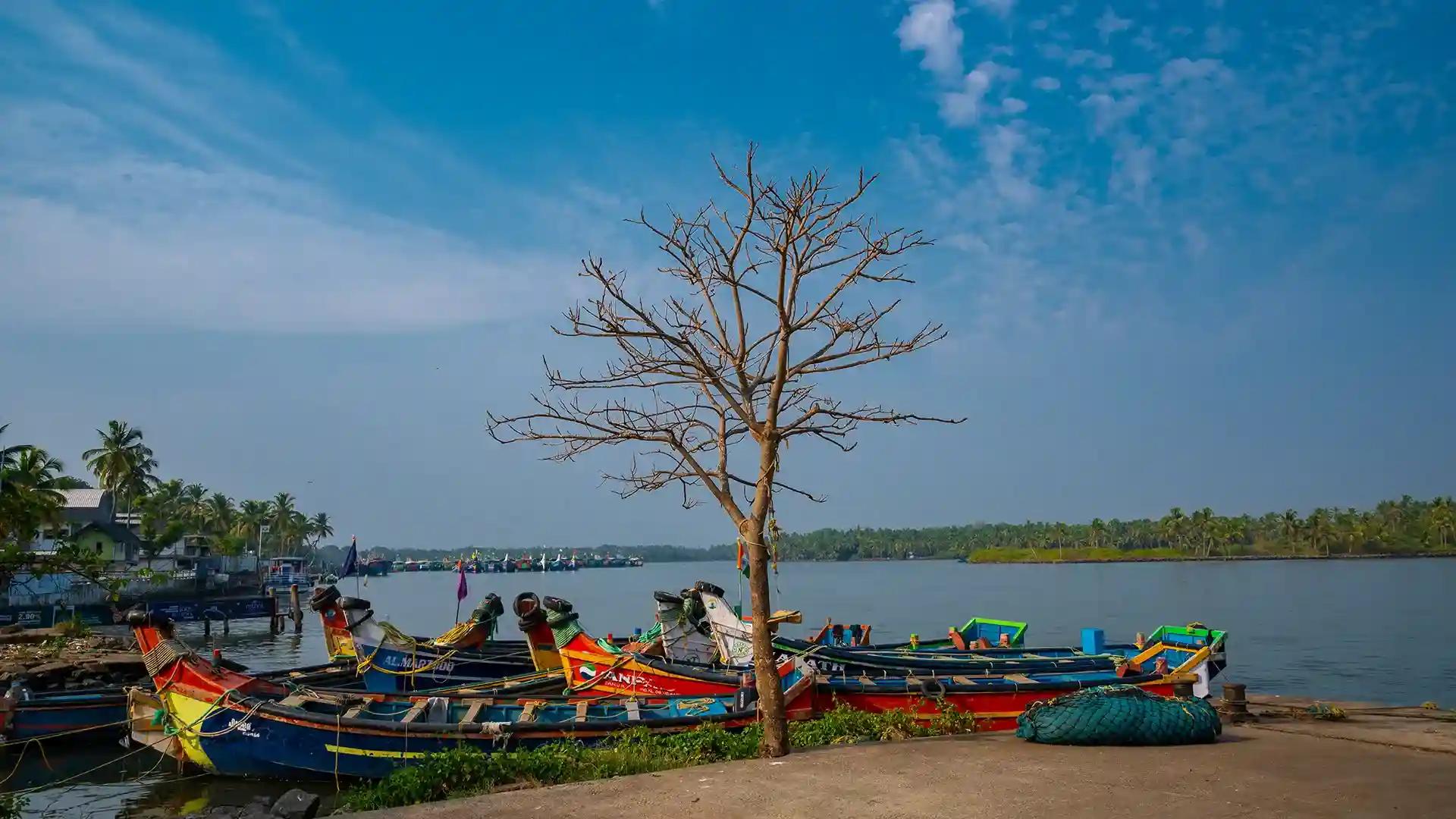 Padinjarekkara Beach: Tranquil Shores in Malappuram Padinjarekkara Beach: Tranquil Shores in Malappuram