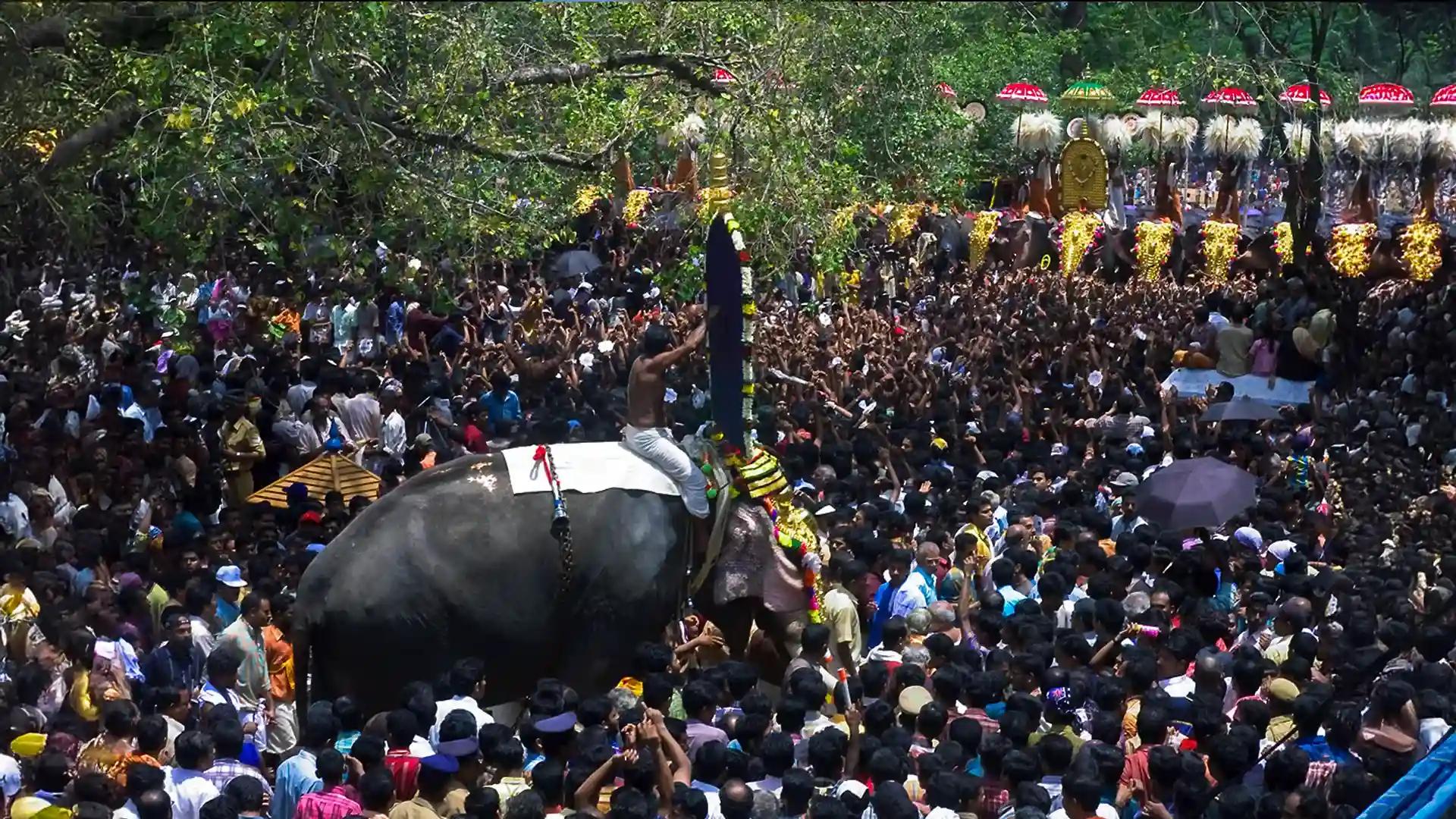 Pakal Pooram, in a frame Pakal Pooram, in a frame