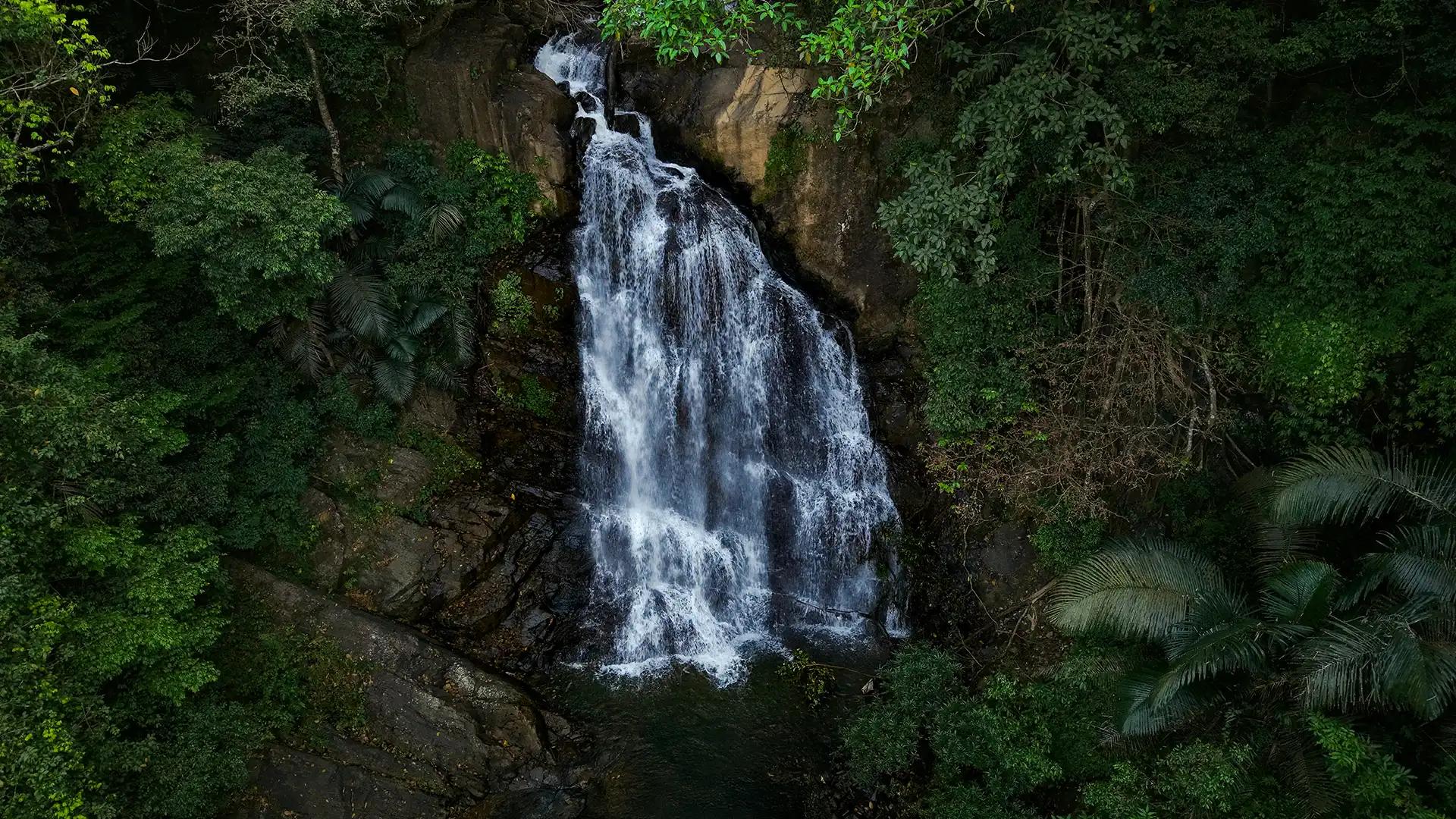 Palchuram Waterfalls : Four-Tier Forest Cascade Palchuram Waterfalls : Four-Tier Forest Cascade