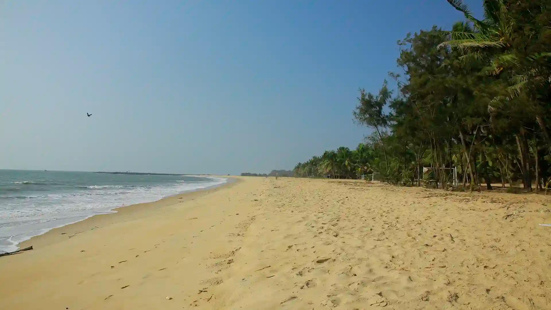 Palm-fringed beaches of Kerala Palm-fringed beaches of Kerala