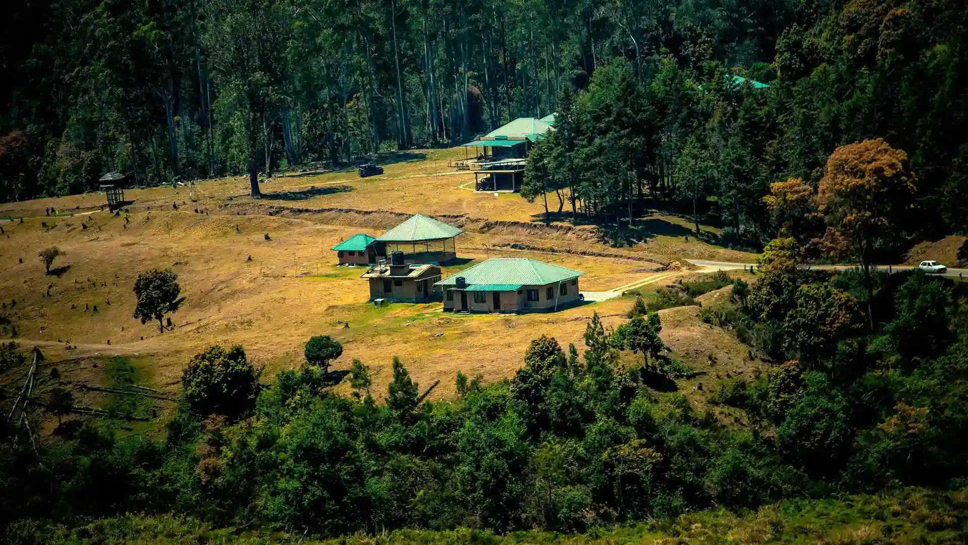 Pampadum Shola National Park Pampadum Shola National Park