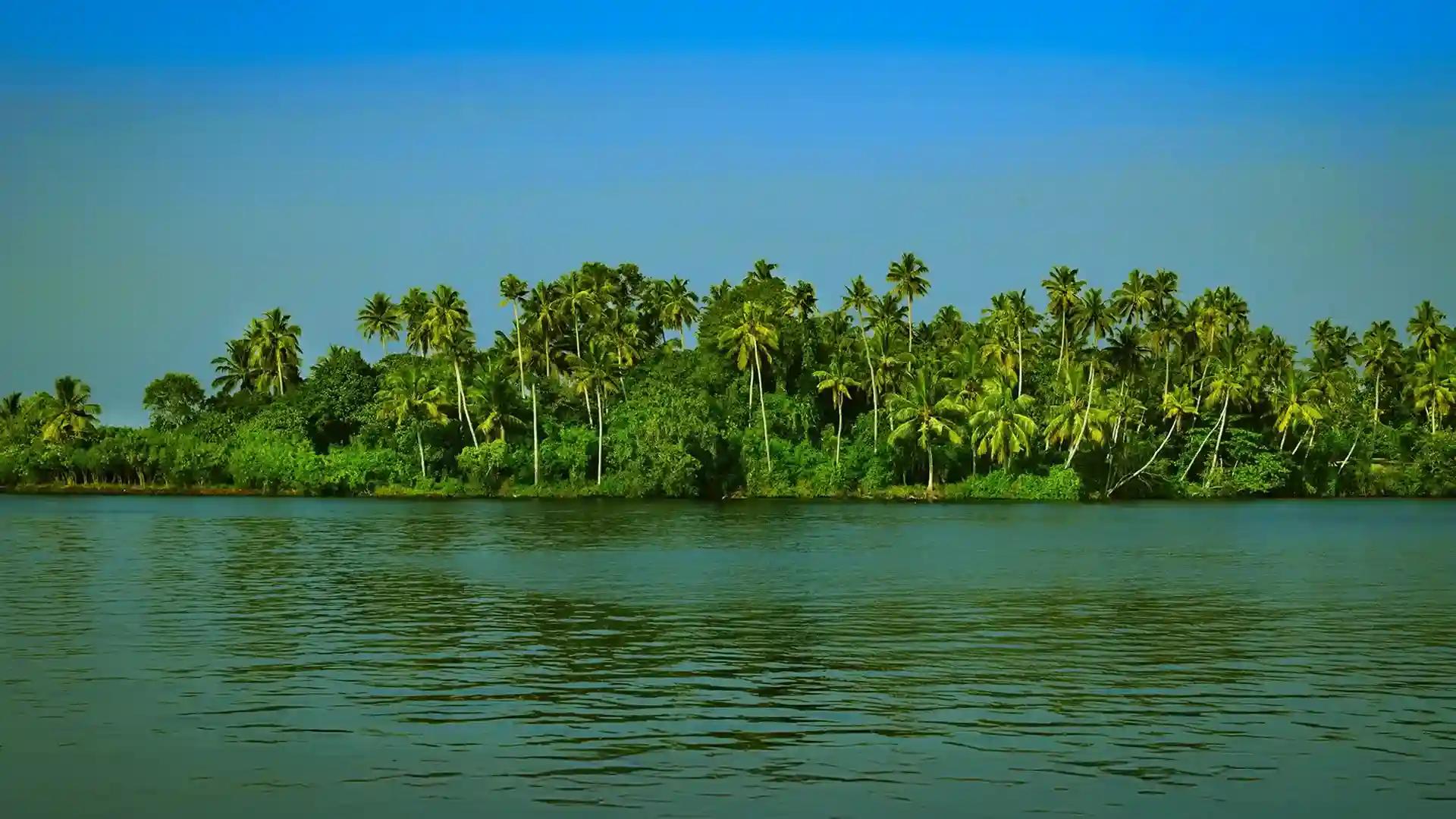Placid backwater stretch of Ashtamudi Placid backwater stretch of Ashtamudi