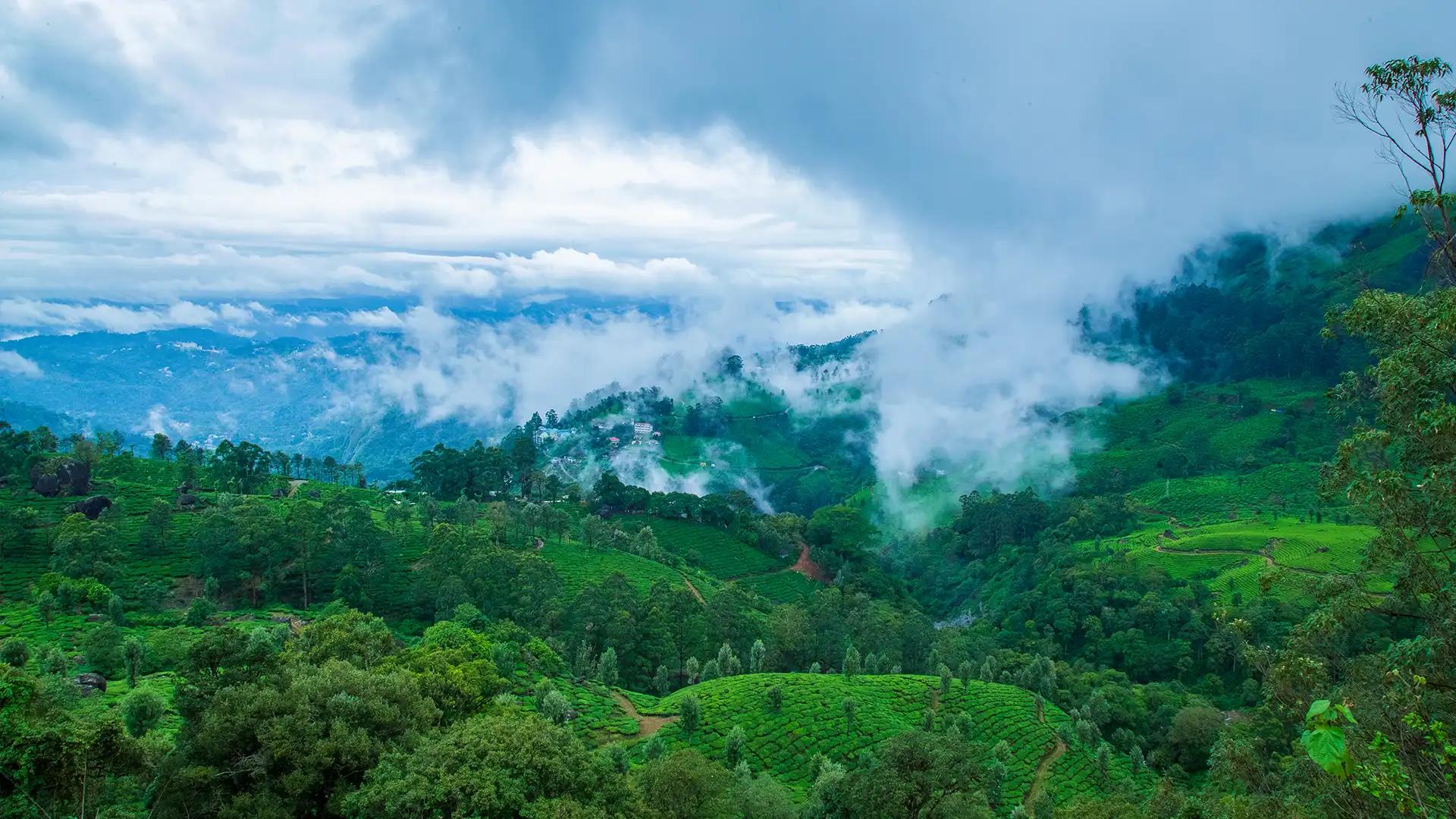 Pothamedu Viewpoint Pothamedu Viewpoint