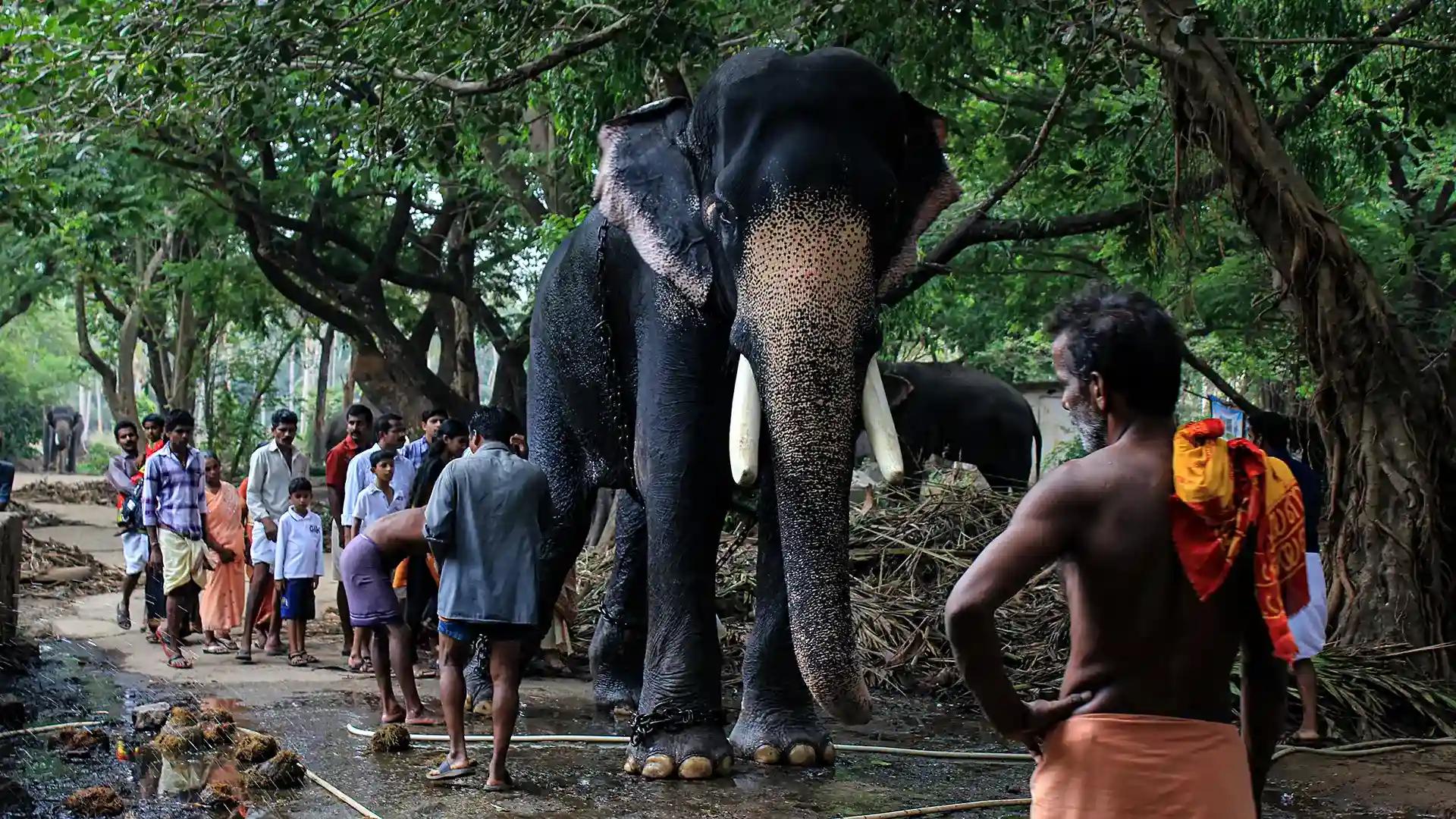 Punnathoor Kotta Punnathoor Kotta