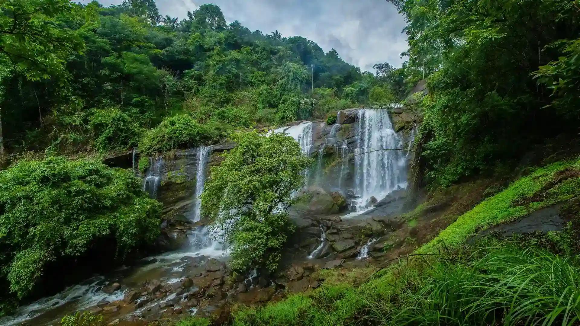 Punnayar Waterfalls: Thrissur’s Hidden Cascades Punnayar Waterfalls: Thrissur’s Hidden Cascades