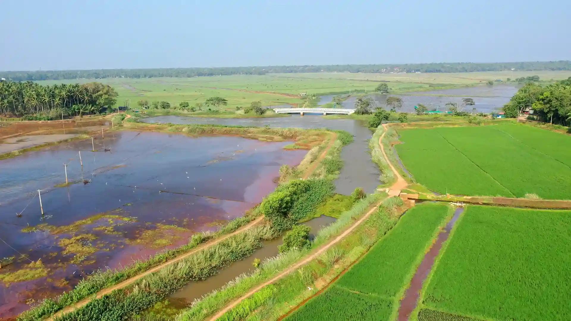 Punnayurkulam, Thrissur Punnayurkulam, Thrissur