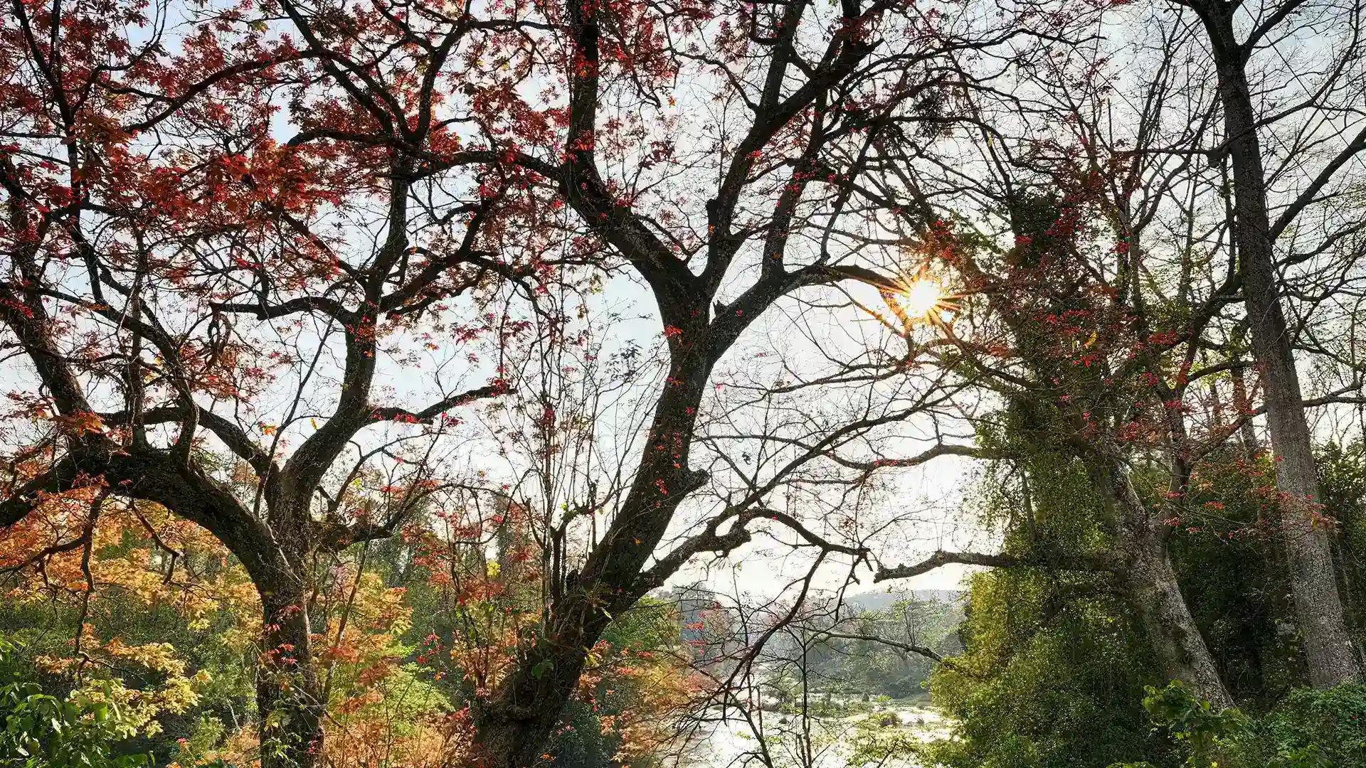 Shendurney Wildlife Sanctuary Shendurney Wildlife Sanctuary