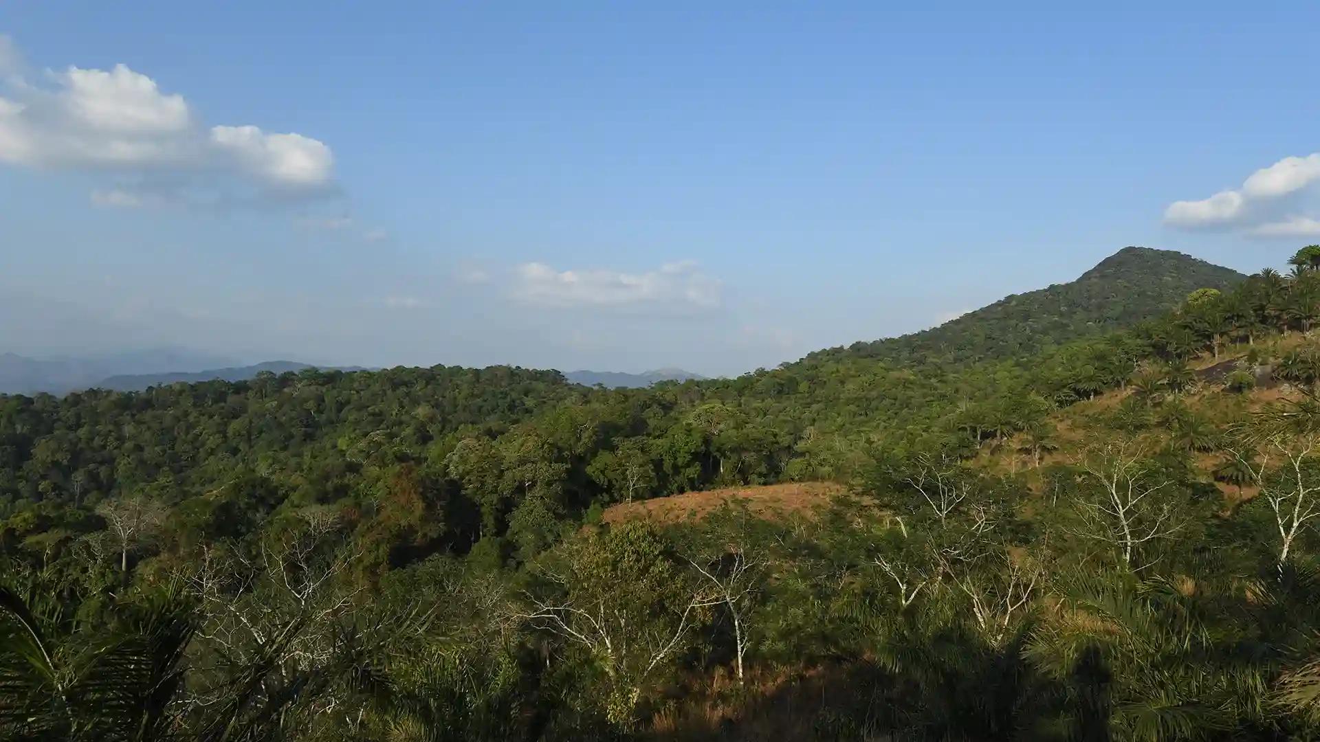 Shendurney Wildlife Sanctuary Shendurney Wildlife Sanctuary