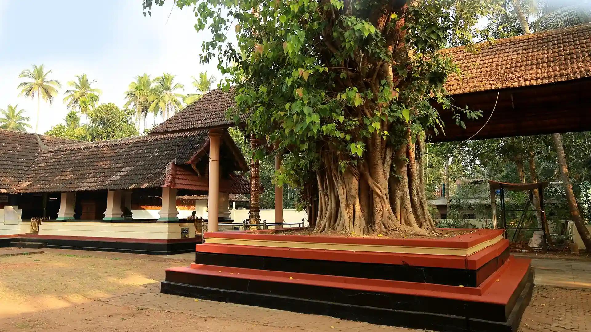 Suryanarayana Temple Suryanarayana Temple