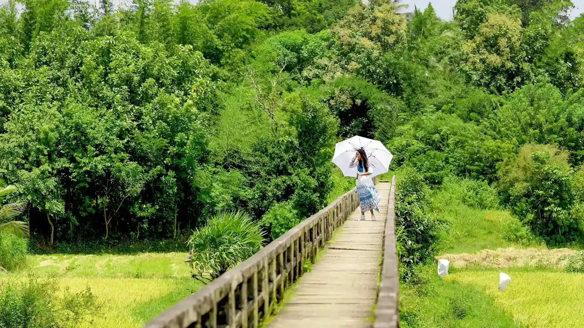 Thathamangalam Bridge, Palakkad Thathamangalam Bridge, Palakkad