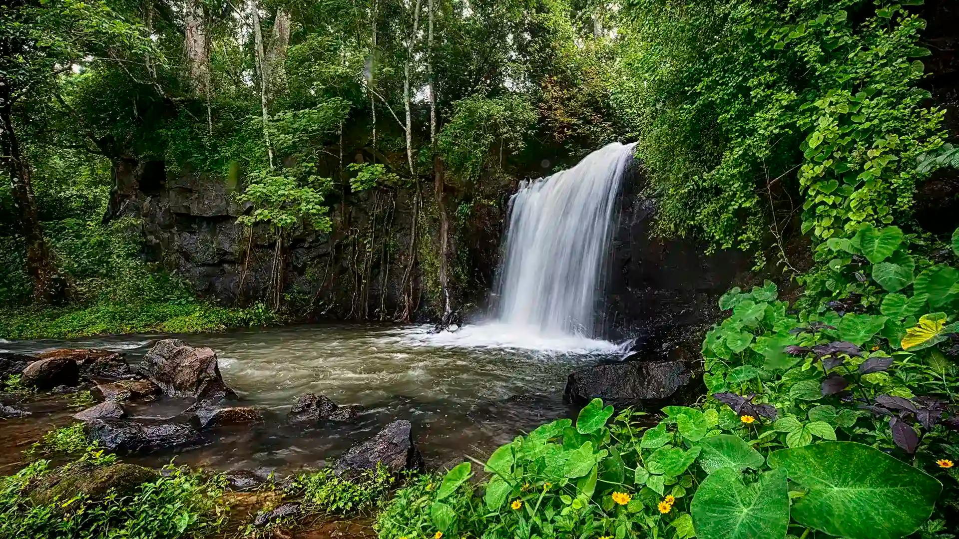 The hidden beauty of Vattayi Waterfalls The hidden beauty of Vattayi Waterfalls