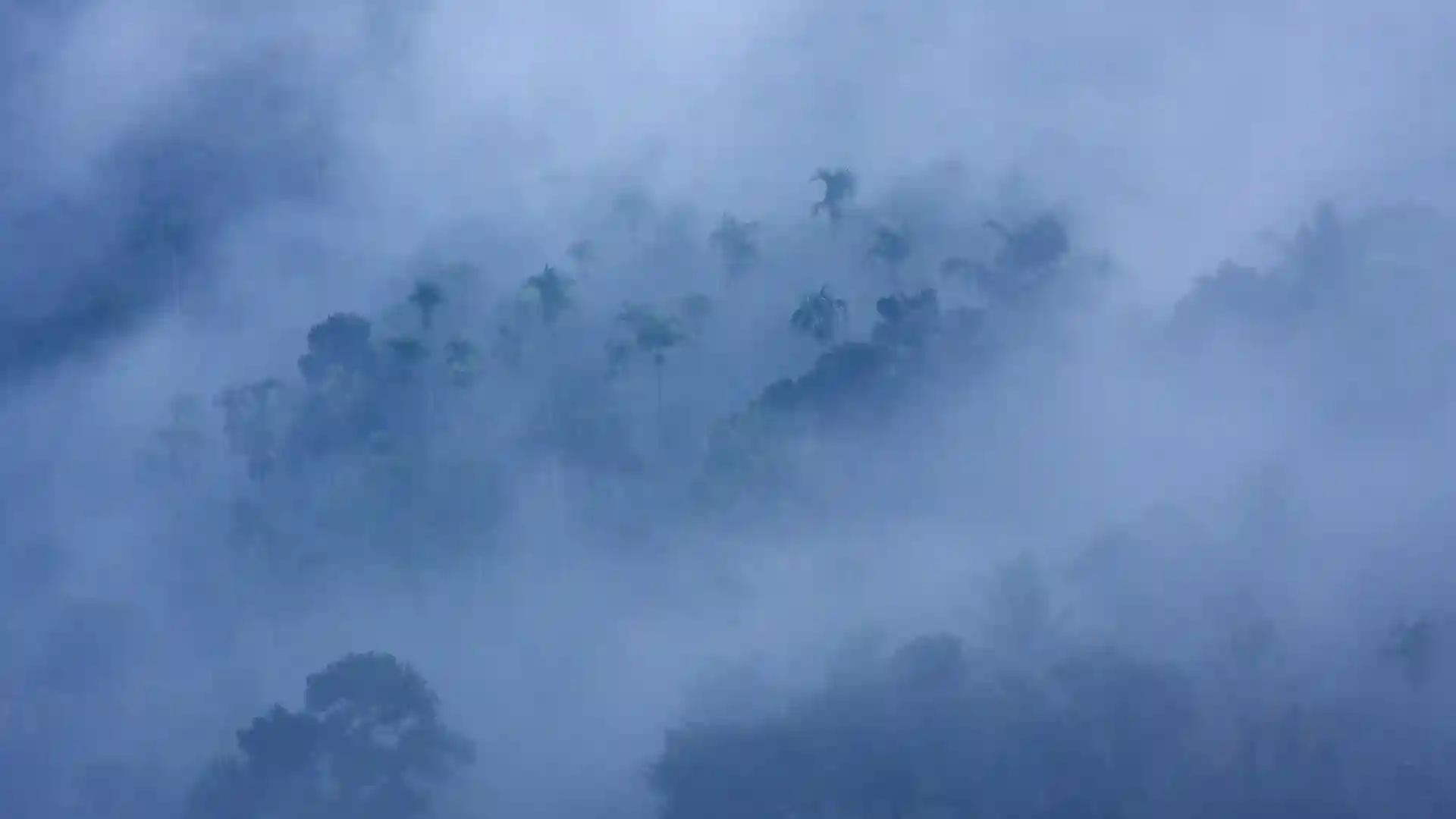 The Magical Clouds The Magical Clouds