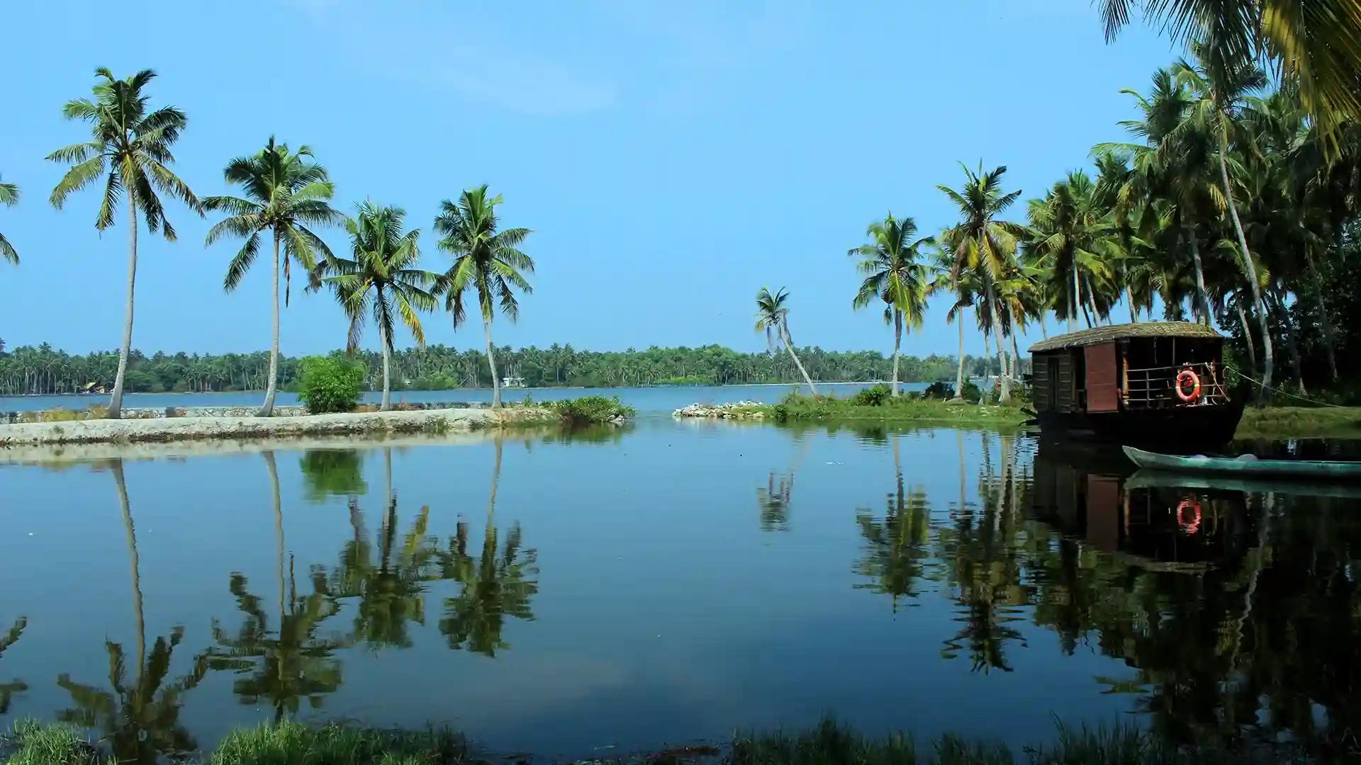 The Tranquil Poovar The Tranquil Poovar