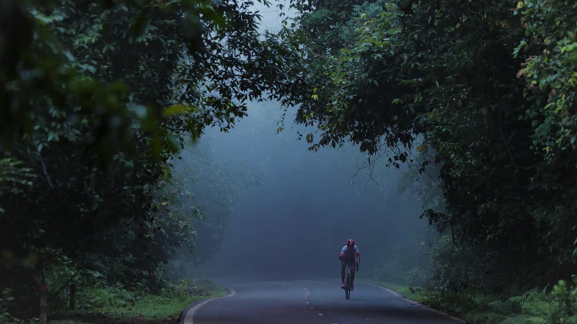 Tour of Thekkady Tour of Thekkady