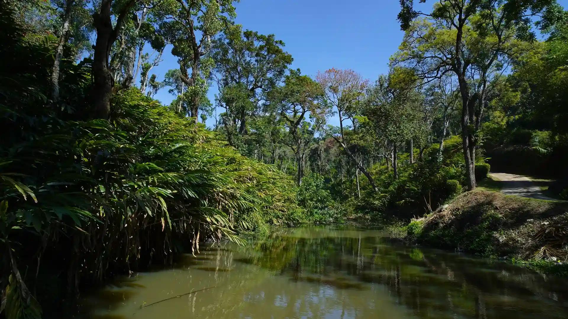 Vandanmedu Vandanmedu