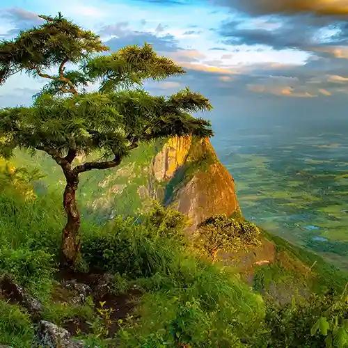 Scenic hills of Nelliyampathy, Kerala