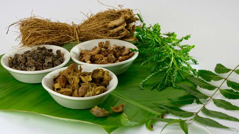 Ayurvedic Pharmacology