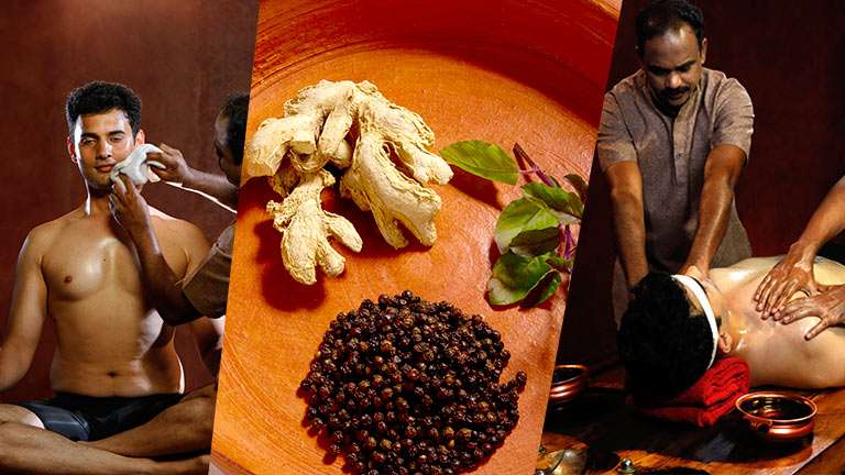 The Panchakarma Procedure | Rejuvenation Therapy and Panchakarma | Kerala  Ayurveda