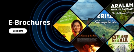 Download E-brochures