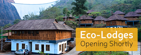Eco-Lodges Opening Shortly