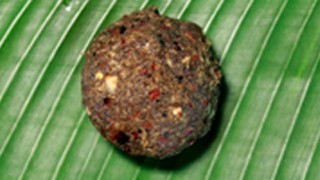 Roasted Coconut Chutney