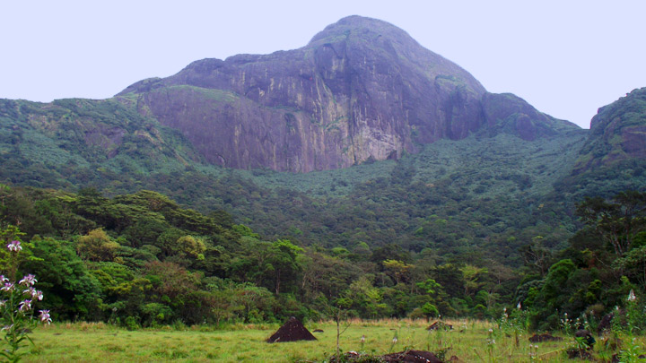 Agasthyakoodam Peak in Kerala