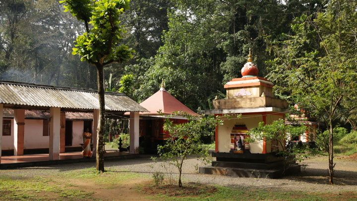 Alapra Thacharikkal Bhagavathi Temple