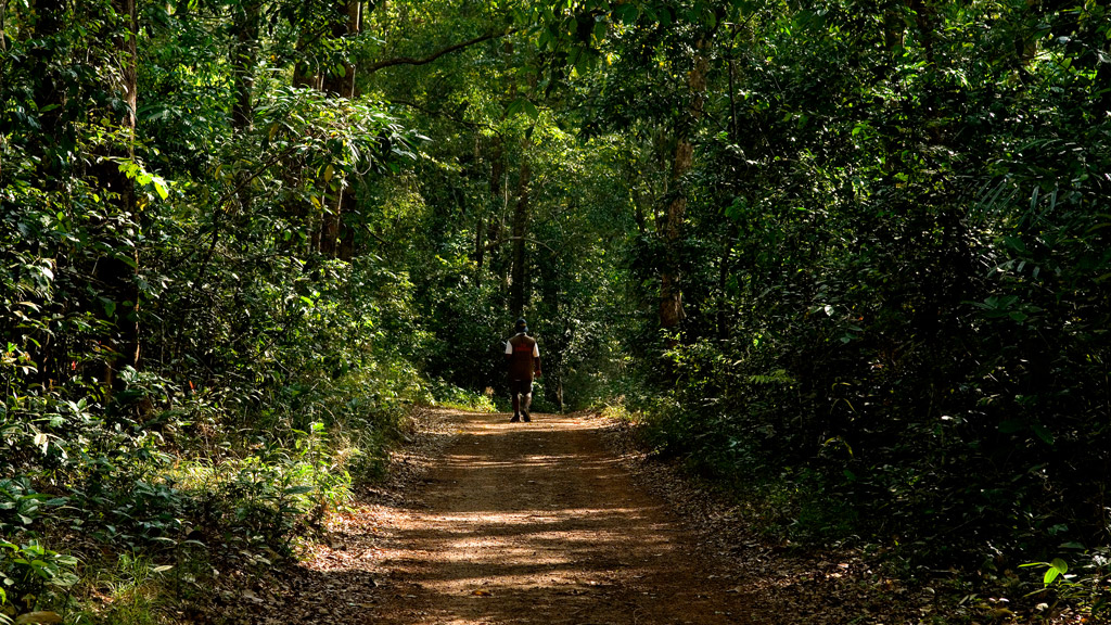 Arippa Ecotourism Village