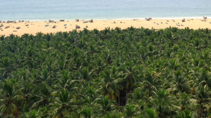 Chowara & Azhimalathara Beach