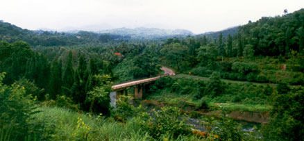 Janakikad, Kozhikode