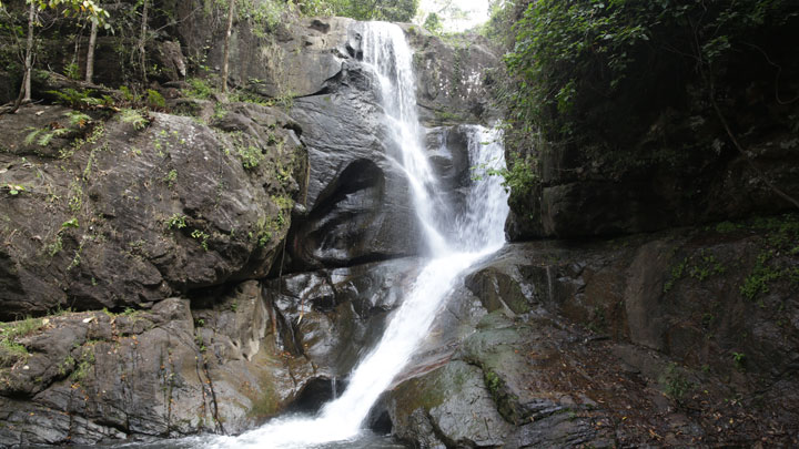 Kalakkayam Waterfalls in Mankayam river at Palode, Thiruvananthapuram 