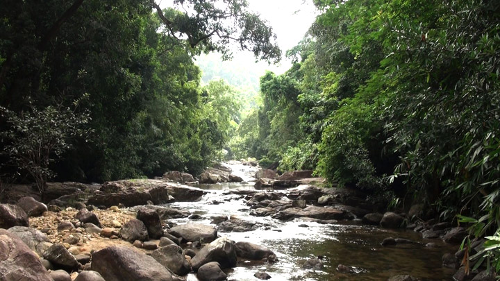 Kallar in Thiruvananthapuram