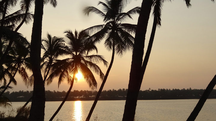 Kavvayi Backwaters