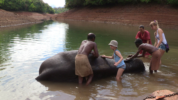 Kottur near Thiruvananthapuram - an ideal place for Elephant safari 
