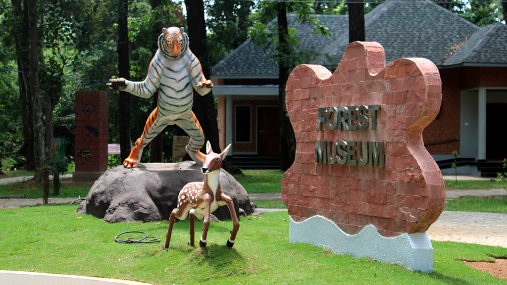 Kulathupuzha Forest Museum Forest Department Kerala Tourism