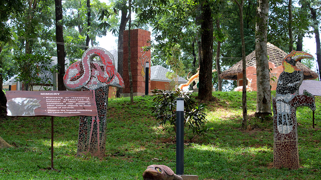 Kulathupuzha Forest Museum Forest Department Kerala Tourism