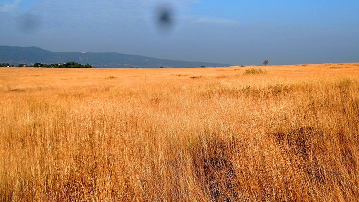 Madayipara, Kannur