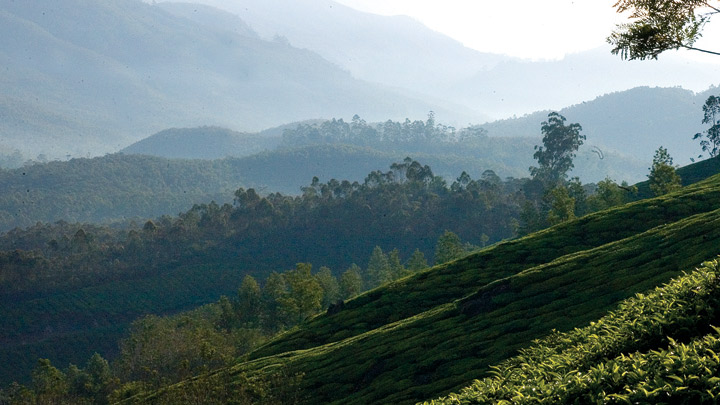 Munnar