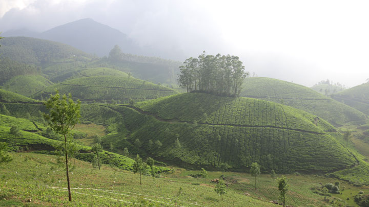 Munnar