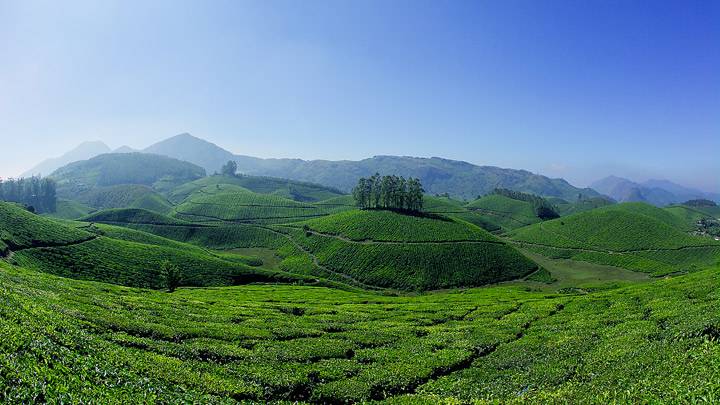 Munnar - the Hill Station of Kerala in Idukki 