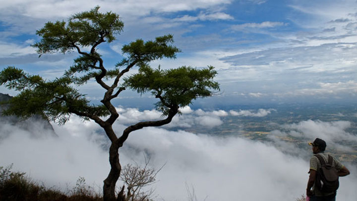 Nelliyampathy Hills, Palakkad