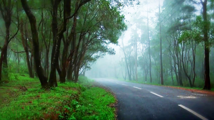 kerala forest eco tourism ponmudi