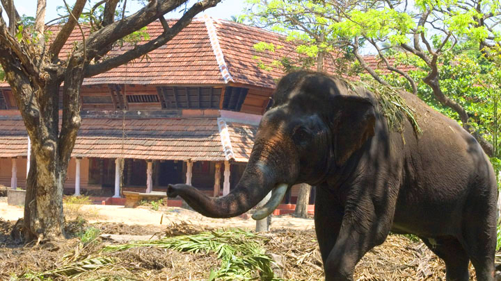 Punnathoor Kotta, Thrissur 