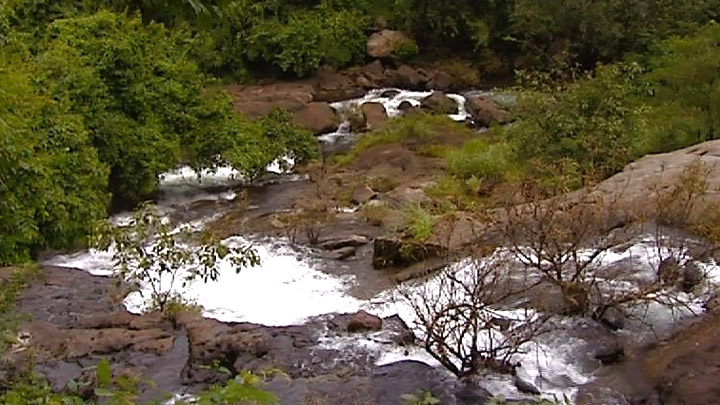 Thusharagiri Waterfalls